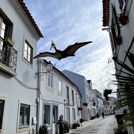 Spacious In Sunny Minutes To Lourinha (Lisbon)