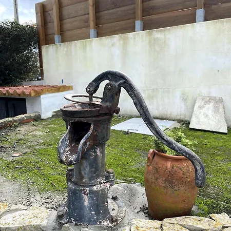 Apartman Spacious In Sunny Minutes To Lourinhã